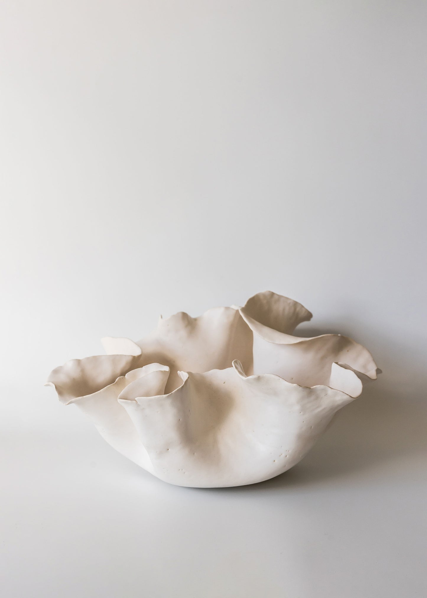 Coral 01