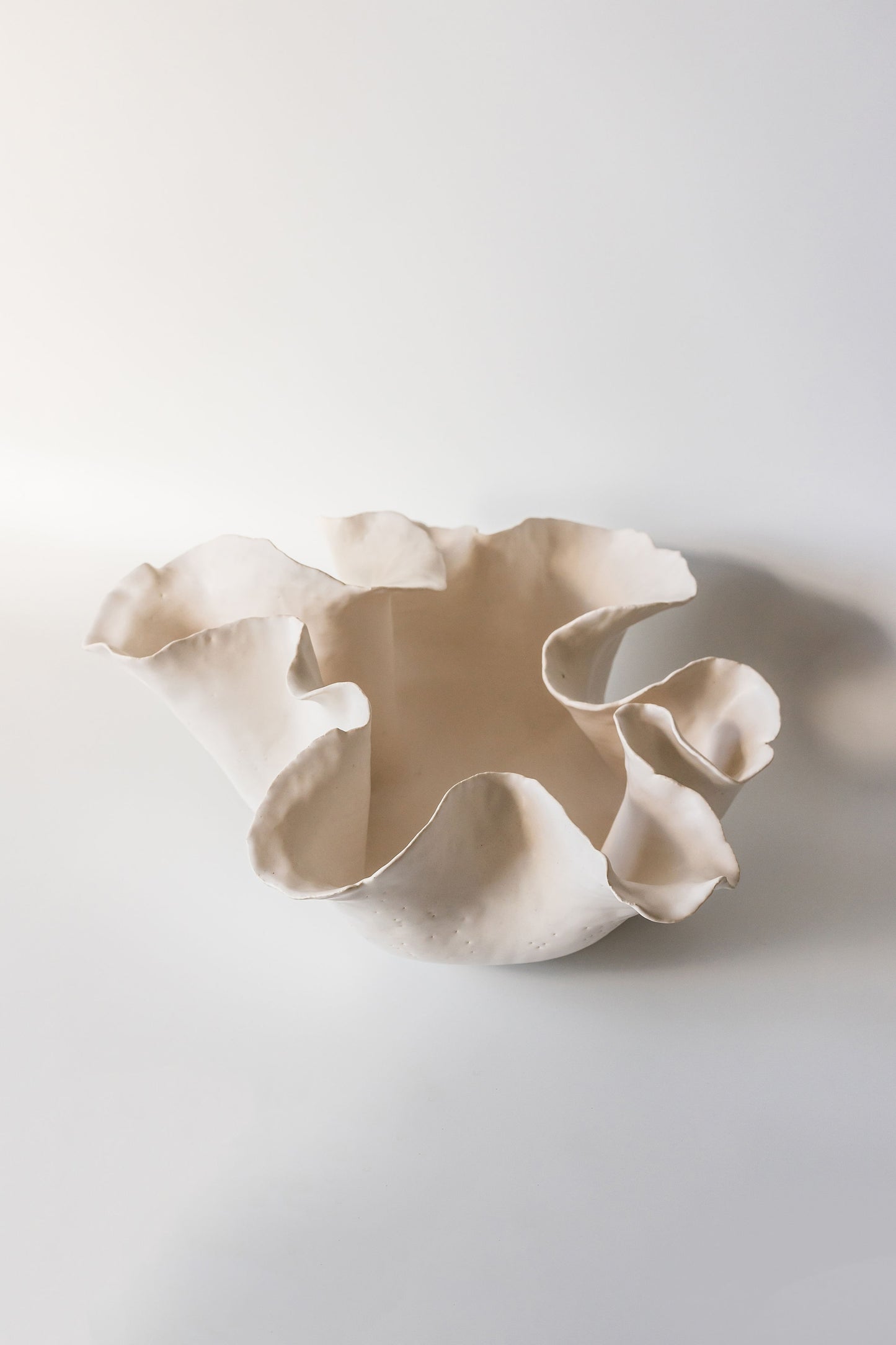 Coral 01