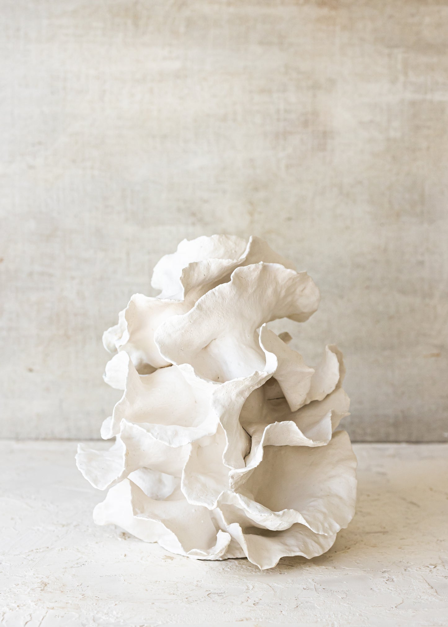 Coral 03